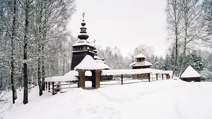 Шевченківський гай взимку (vovsad.blogspot.com)