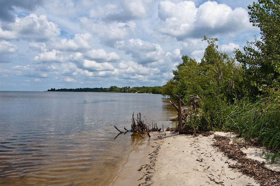 Майже дика природа на берегах Київського моря