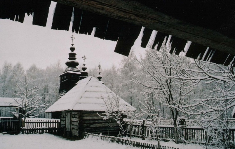 Шевченківський гай взимку 